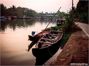 _DSF9735 (Copy)